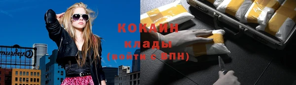 прущие крисы Инта