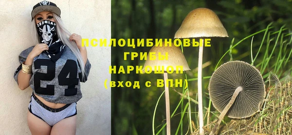 a pvp Инсар