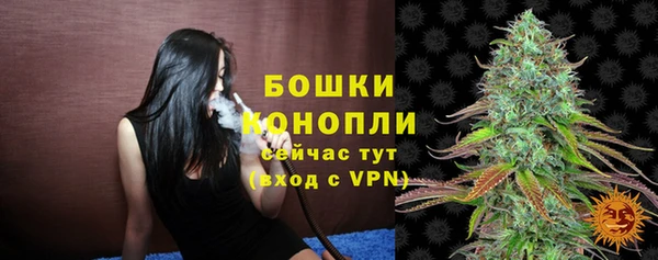 прущие крисы Инта